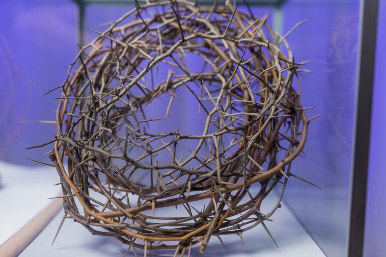 Exposición Motivaciones de Jesucristo en Museo Vida y Obra de Jesucristo