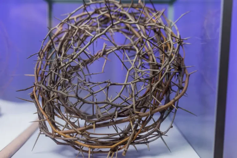 Exposición Motivaciones de Jesucristo en Museo Vida y Obra de Jesucristo