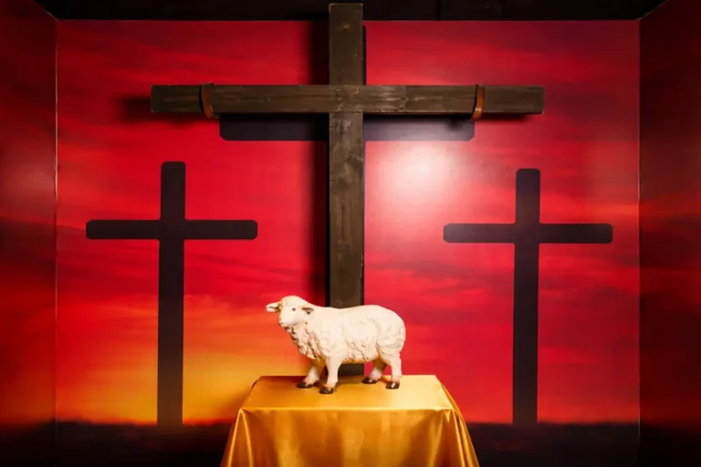 Exposición Promesa del Mesias Museo Vida y Obra de Jesucristo